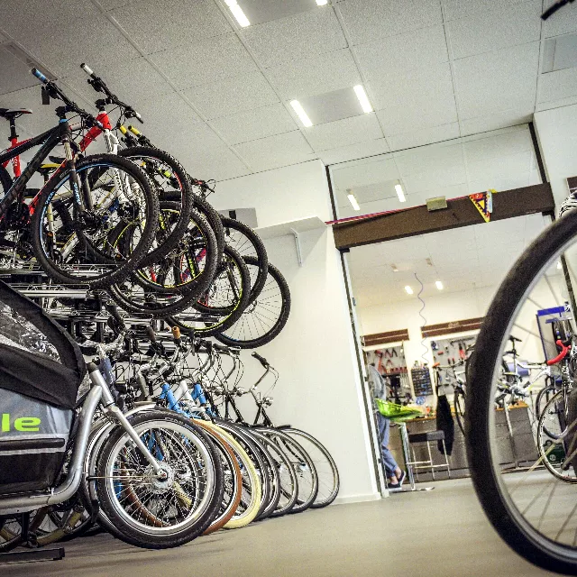 Tienda Bicicletas Portocolom